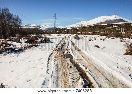 Snowy Road