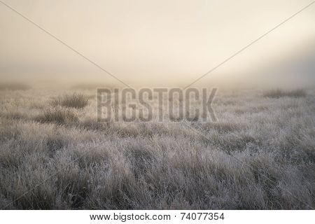 Stunning Sun Beams Light Up Fog Through Thick Fog Of Autumn Fall Frosty Landscape