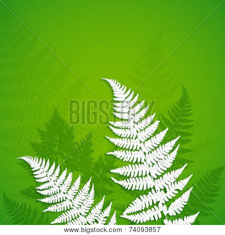 White paper fern leaves on green background
