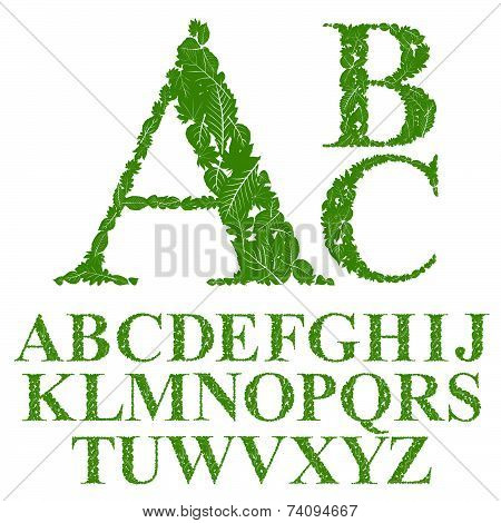 Font made with leaves, floral alphabet letters set, flowery design.