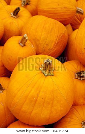 Abóboras empilhadas