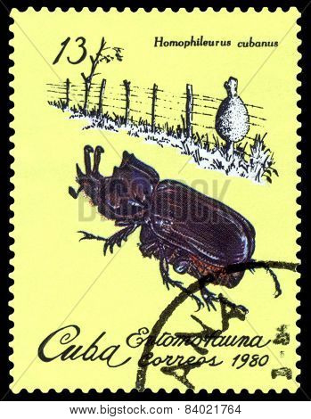 Vintage  Postage Stamp. Beetle Homophileurus Cubanus.