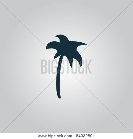Palm icon in vector