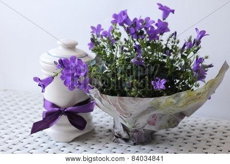 Spring flower composition