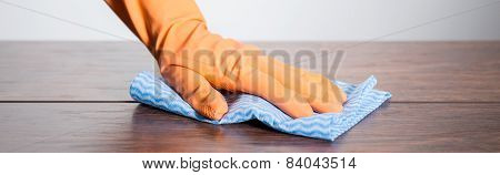 Glove And Dishrag