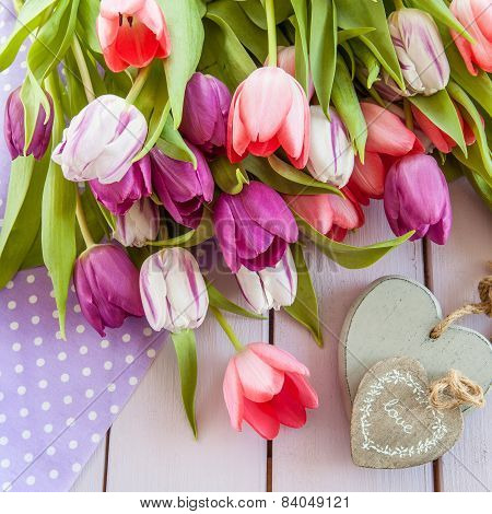 Colorful Tulips On Purple