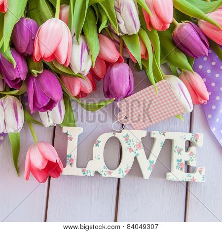 Colorful Tulips On Purple