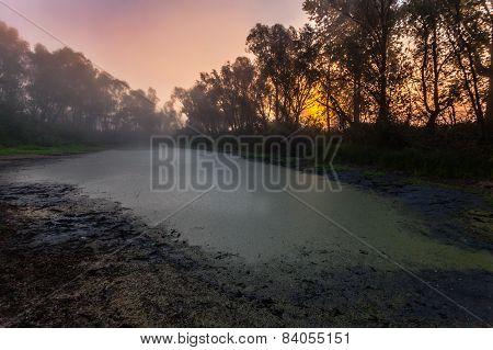 Beautiful Mystical Landscape
