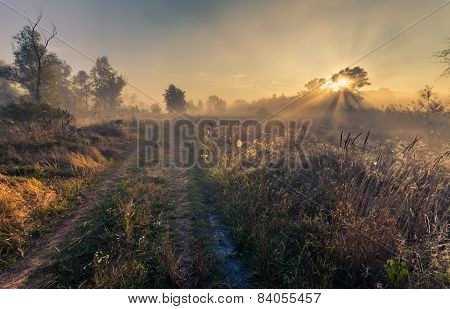 Beautiful Mystical Landscape