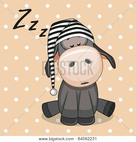 Sleeping Baby Donkey