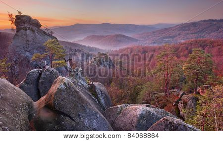 Rocks In Autumn Forest