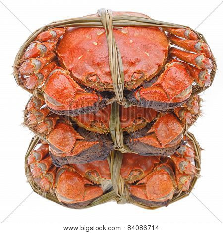 Hairy crabs on the Bamboo steamer Isolated in white background.