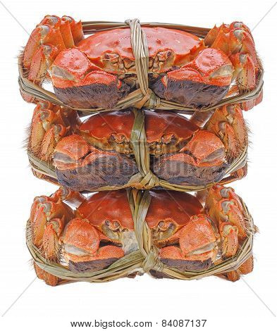 Hairy crabs on the Bamboo steamer Isolated in white background.