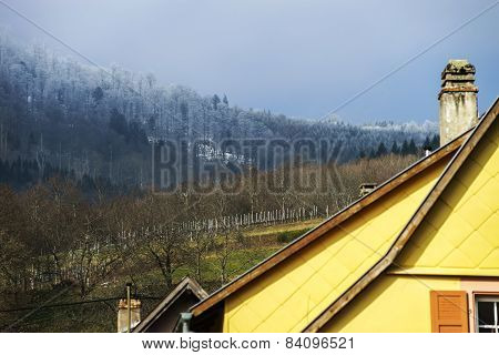 Traditional Alsace Country House, Spring Day