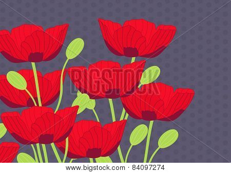 Vintage Poppy illustration