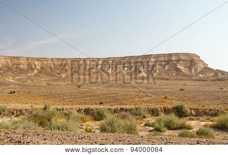 Dead Sea Cliffs .
