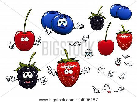 Strawberry, blackberry, cherry, blueberry fruits