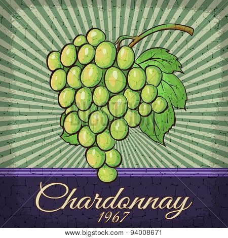 Vintage Chardonnay Grape Poster Design.
