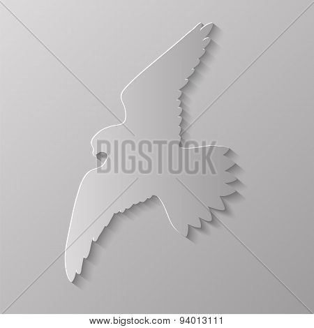 Bird Silhouette