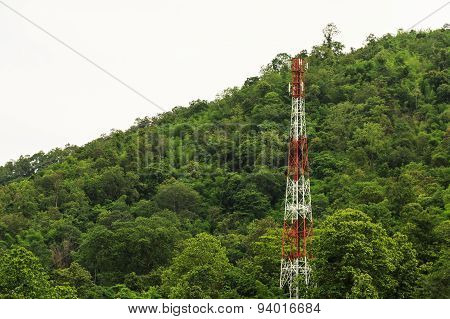 telephone pole in the jungle. people made natural care