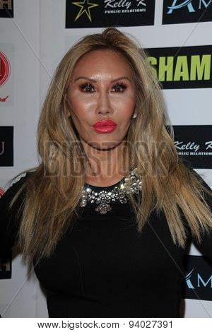 LOS ANGELES - JUN 4:  Tess Broussard at the Celebrity Selfies Art Show by Sham Ibrahim at the Sweet! Hollywood on June 4, 2015 in Los Angeles, CA