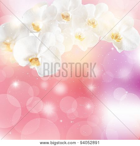 Vector Illustration Of Sprigs Of White Orchids On A Pink Backgro