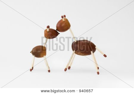 밤 장난감