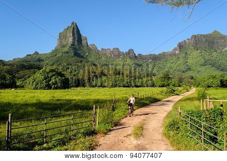 Cycling On Tropical Moorea