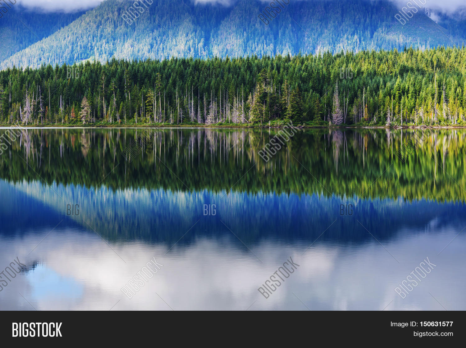 serenity scene