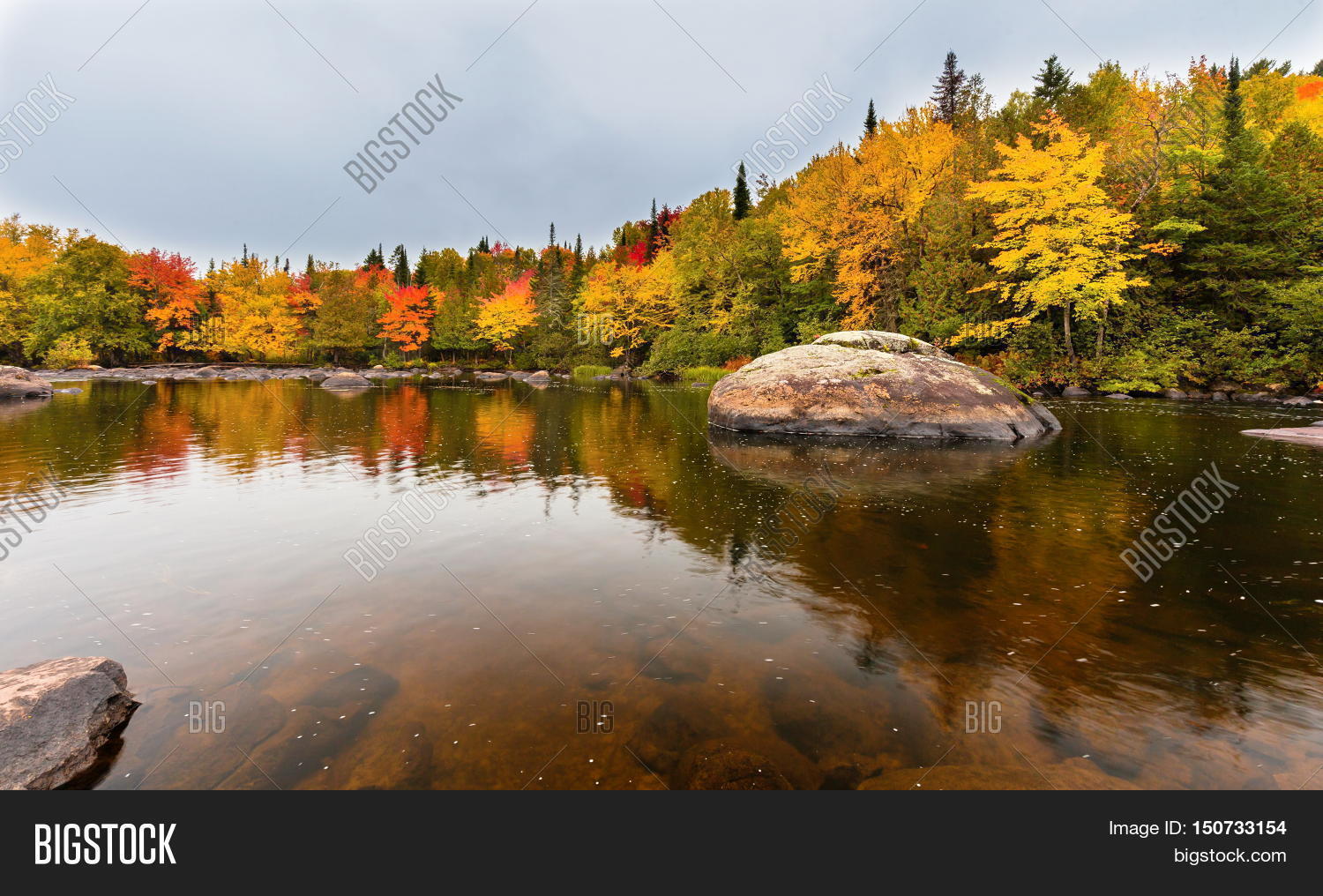 Autumn Beginning Take Image & Photo (Free Trial) | Bigstock