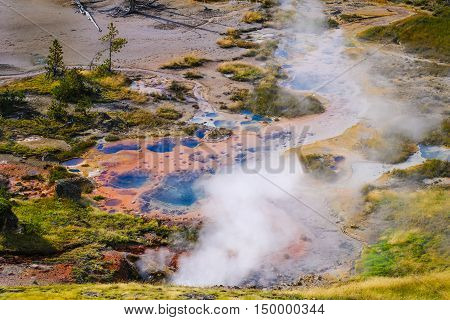 Yellowstone National Park, Wyoming, Usa
