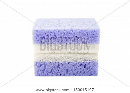 Sponge for cleaning isolated on white background