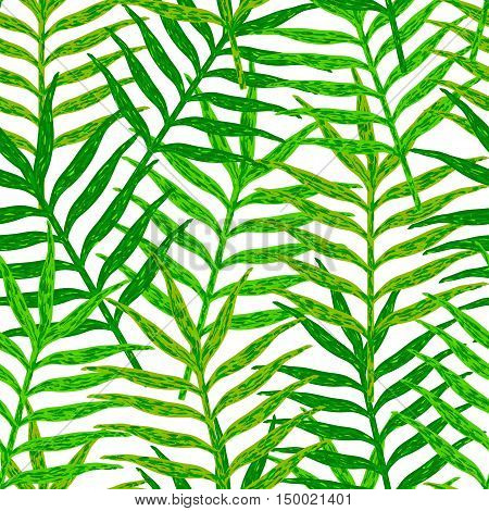 Vector seamless pattern from green leaves on the white background