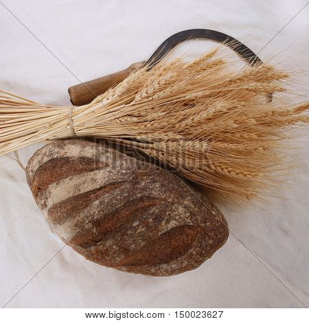 bunch of mown wheat ears with vintage handmade reaper hook sickle and rye dark french fresh bread loaf on white linen tablecloth