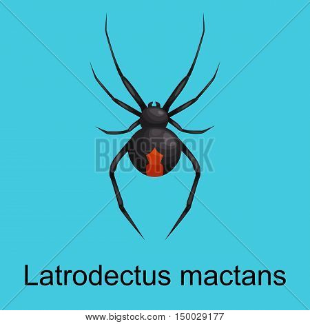 Flat spiders cartoon scary symbols and spiders insect flat design. Set of flat spiders cartoon colored icons vector illustration isolated on white background. Spider vector. Spider icons isolated