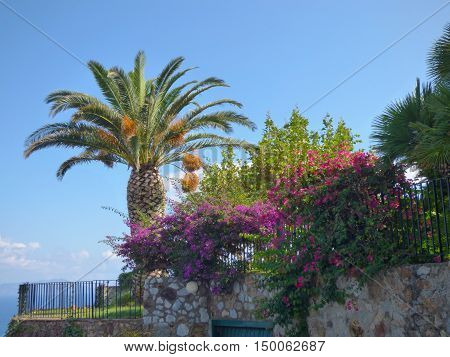 Landscape Of Gioiosa Marea At Sicily
