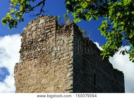 Old Medieval Fortress Ruins Of Chateau De Ramstein In Deep Forest, Alsace