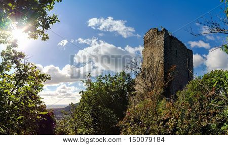 Old Medieval Fortress Ruins Of Chateau De Ramstein In Deep Forest, Alsace