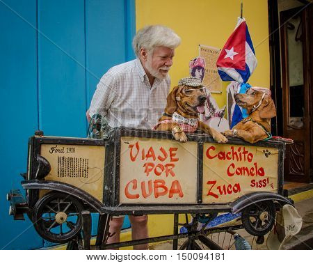 HAVANA - CUBA JUNE 9, 2016: Tourist talks to two dachshunds dressed up by owner to attract donations from passers-by of the Ambos Mundos Hotel to supplement his income.