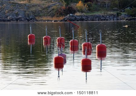 Red buoys in the harbor reflecting in the water a perfect sunny windless morning