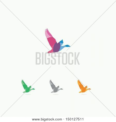 Duck logo, colorful bird vector, fly, wings