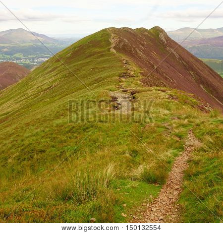Path leading to Causey Pike with purple heather covered slopes, Lake District, Cumbria, England, UK