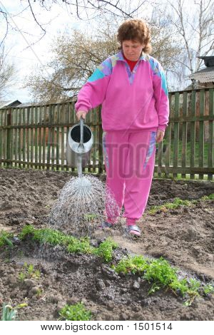 Mulher das águas plantas