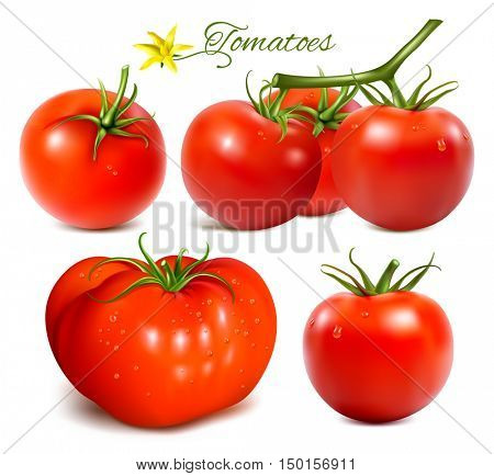 Red ripe tomatoes. Fully editable handmade mesh. Collection of vector illustrations.
