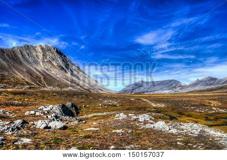 Alpine Views