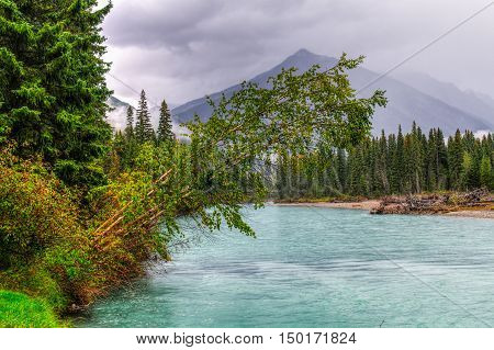 River Views