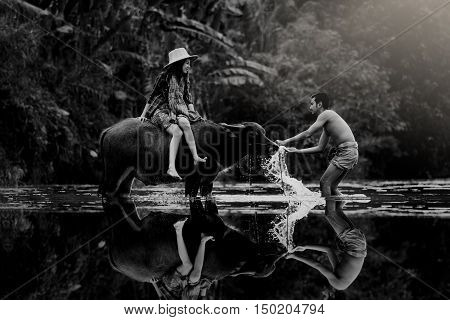 Young man with Buffalo and his girl sitting on a buffalo.
