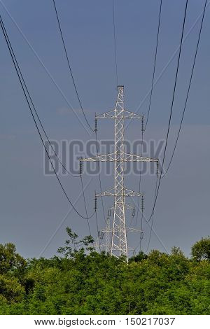 High voltage transmission line pass over the forest