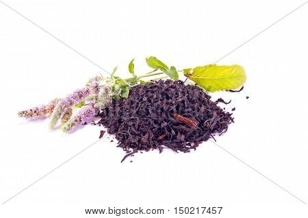 Blooming sprig of mint and black tea isolated on white background