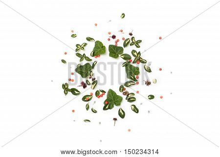 Floral nature round frame on white background. Flat lay top view. Ornament with red berries yellow-green leaves of euonymus and ivy and succulent plants.